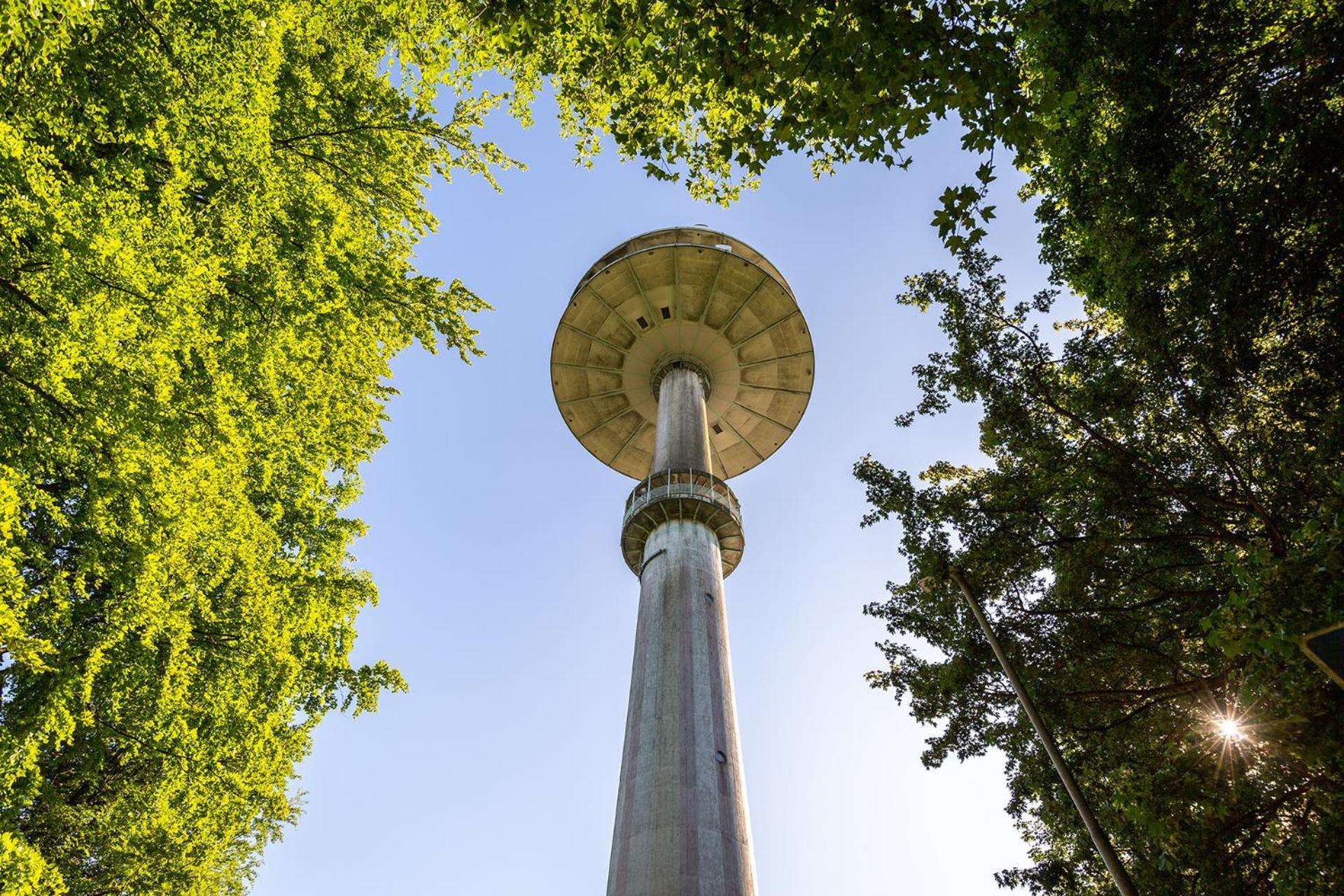 Ferienhaus am Mönchneversdorfer See Schonwalde am Bungsberg Exterior foto