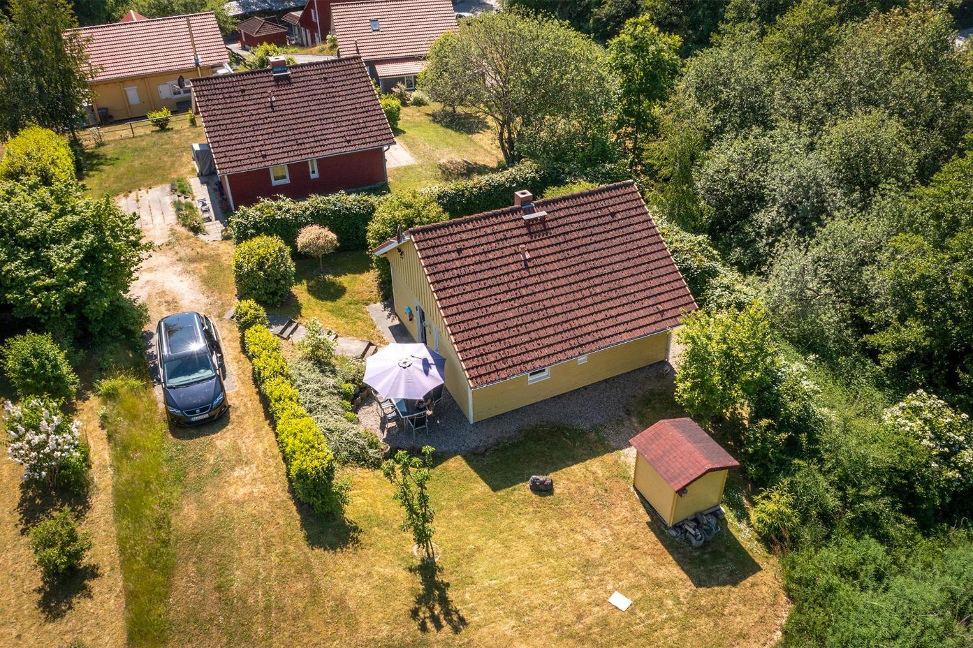 Ferienhaus am Mönchneversdorfer See Schonwalde am Bungsberg Exterior foto