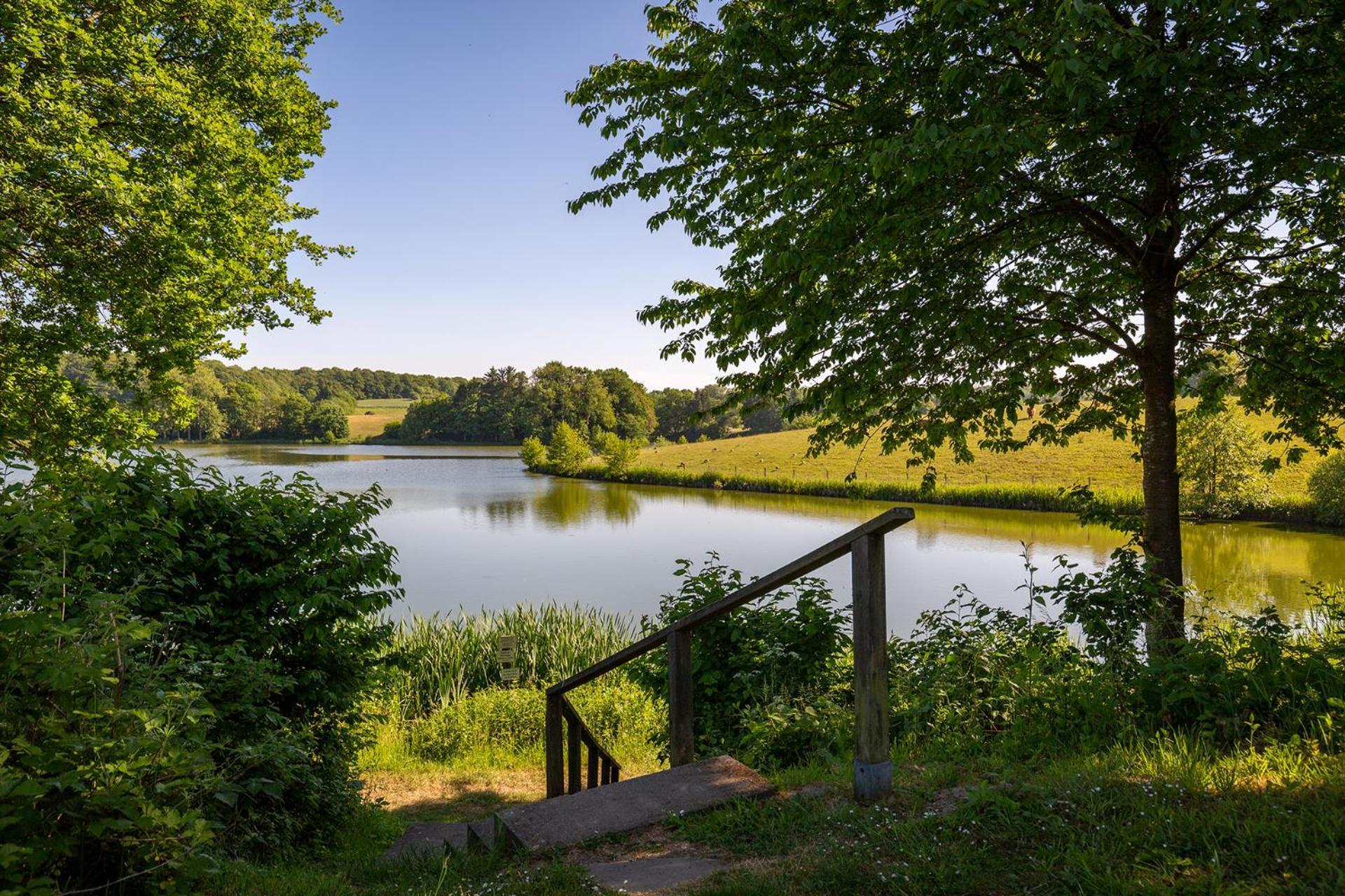 Ferienhaus am Mönchneversdorfer See Schonwalde am Bungsberg Exterior foto